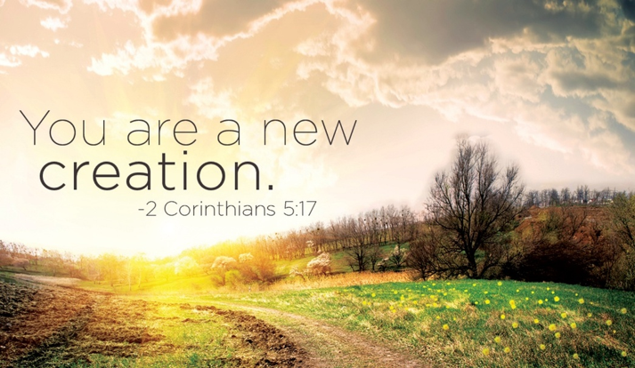 You are a new creation sermon artwork